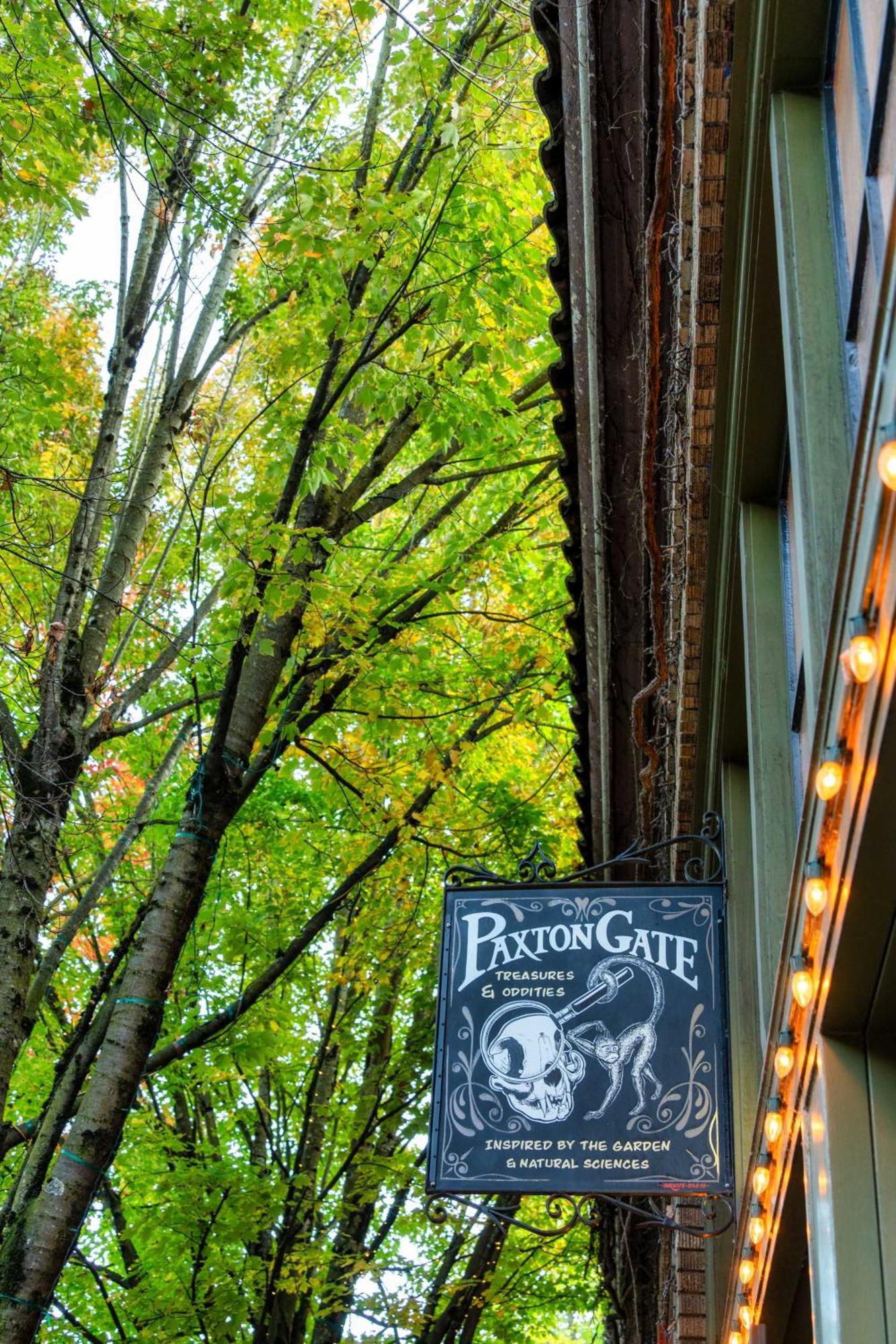 - The Retrouvailles Suite- Espresso & Craft Brews Apartment Portland